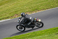 Fast Touring Group Black Bikes